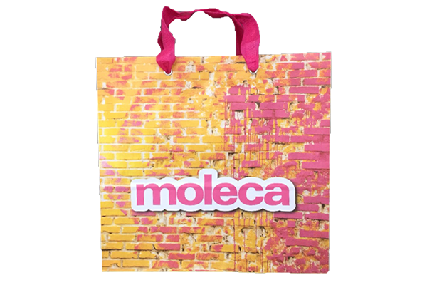 Sacolas de Papel Alça TNT